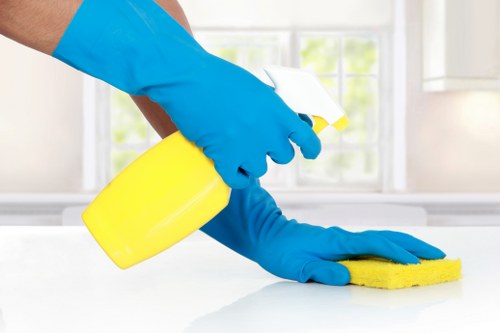 Local carpet steam cleaning for stairs and hallways in Southkensington