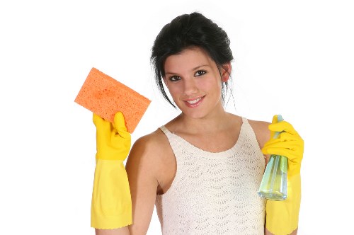 Reviewing a carpet cleaning issue and service records