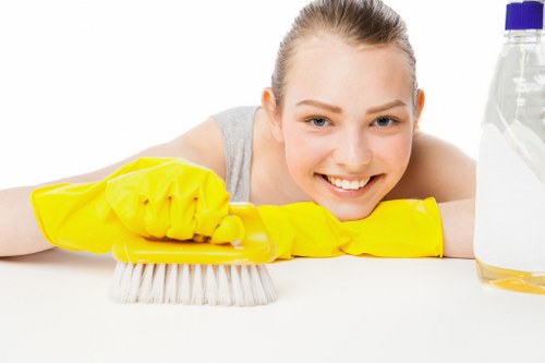 Local cleaner vacuuming a period apartment in Southkensington