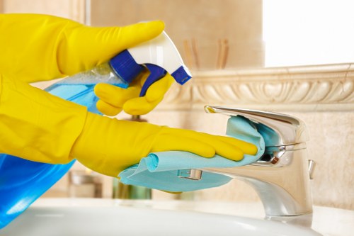 Professional regular cleaning service in a South Kensington home