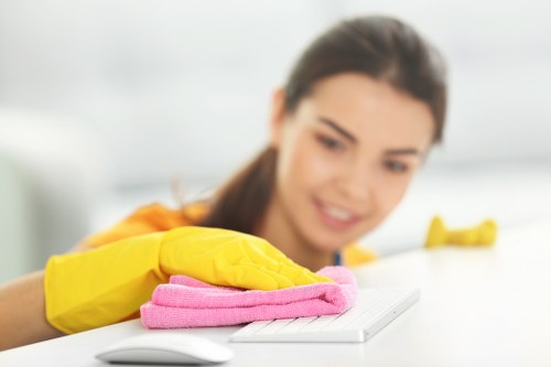 Local oven cleaning setup suitable for residential and commercial kitchens in South Kensington