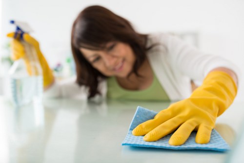 Kitchen and bathroom cleaning setup for a Southkensington property