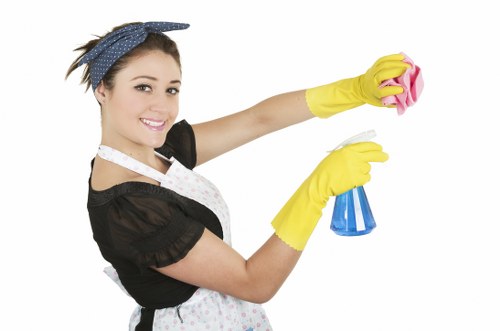 Careful window cleaning for flats in South Kensington