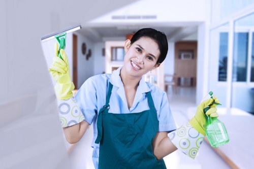 Regular cleaning support for a South Kensington townhouse or flat