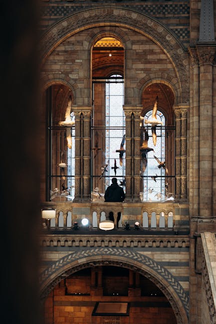 An interior view of a historic building featuring a large ornate window with decorative arches and columns made of stone. The window has a metal grille and showcases a person sitting on the balcony, silhouetted against the daylight filtering through the glass. The surrounding architecture includes intricate stone detailing, arches, and decorative elements typical of classical or medieval design, illuminated by warm lighting that highlights the texture of the stone surfaces. The scene depicts a moment of quiet reflection within a space that may be part of a museum or historic site, emphasizing architectural beauty and the preservation of craftsmanship. For surface cleaning and maintenance in cultural or historical settings, professional cleaning by [COMPANY_NAME] ensures the preservation of such intricate details and stonework.