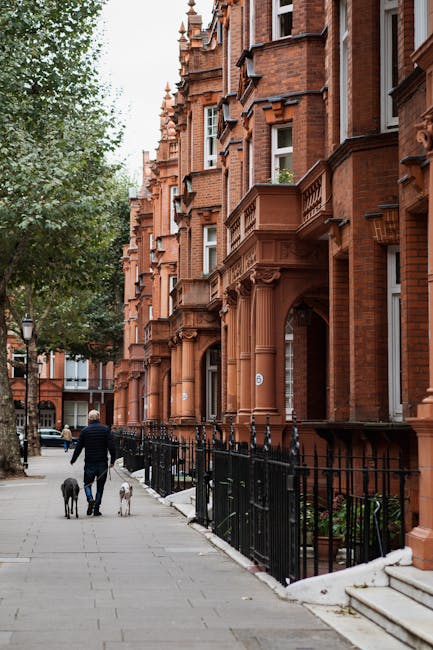 A residential street in South Kensington featuring red-brick Victorian-style terraced houses with ornate architectural details, including decorative columns and bay windows. The pavement is clean and well-maintained, with a black wrought-iron fence lining the front of each property. A person dressed in dark clothing is walking two dogs on the sidewalk, with trees providing some greenery along the street. The scene is illuminated by natural daylight, highlighting the neat appearance of the area, which reflects proper maintenance and hygiene standards. For effective surface cleaning and deep sanitisation in similar settings, [COMPANY_NAME] offers professional domestic cleaning services to help tenants avoid common cleaning mistakes.